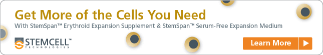 Get More of the Cells You Need with StemSpan™ Erythroid Expansion Supplement and StemSpan™ SFEM